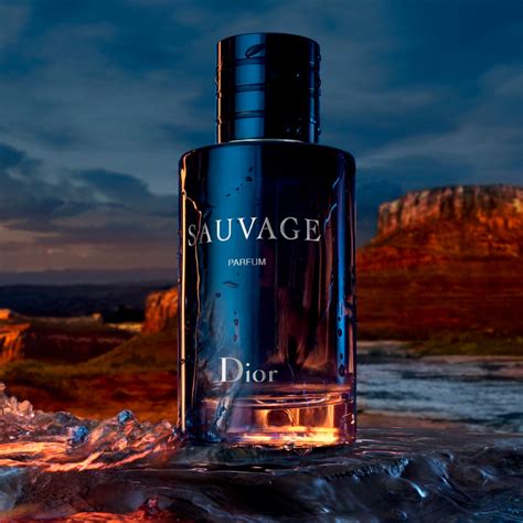 dior sauvage schuhe|sauvage dior perfume for men.